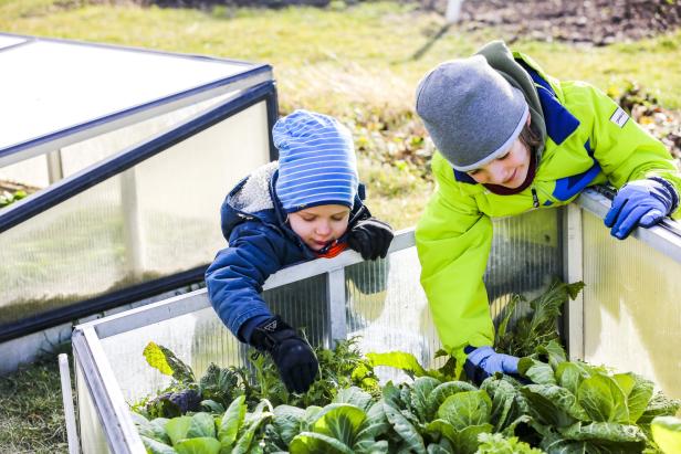 Zwei Kinder beugen sich über ein Frühbeet und kümmern sich um die Pflanzen.
