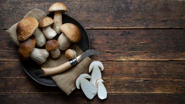 Fresh forest mushrooms, Boletus edulis (king bolete), penny bun, cep, porcini, mushroom and knife in an old bowl, plate on the wooden dark brown table, top view background