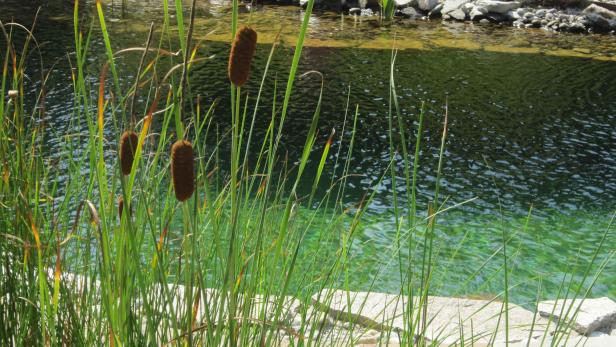 Damit Sie im nächsten Sommer wieder Freude an Ihrem Gartenteich haben, müsen Sie ihn gut durch den Winter bringen