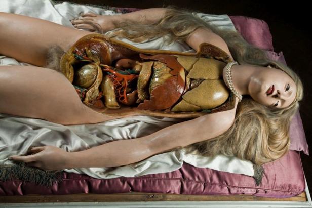 Eine anatomische Wachsmodell-Darstellung einer Frau mit geöffnetem Torso, die innere Organe zeigt.