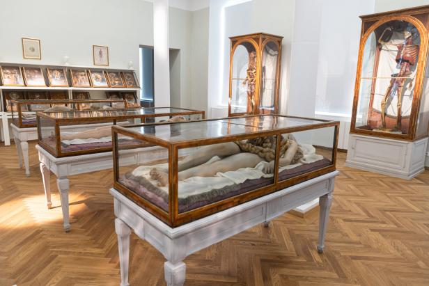 Ausstellungsraum mit anatomischen Modellen in Vitrinen.