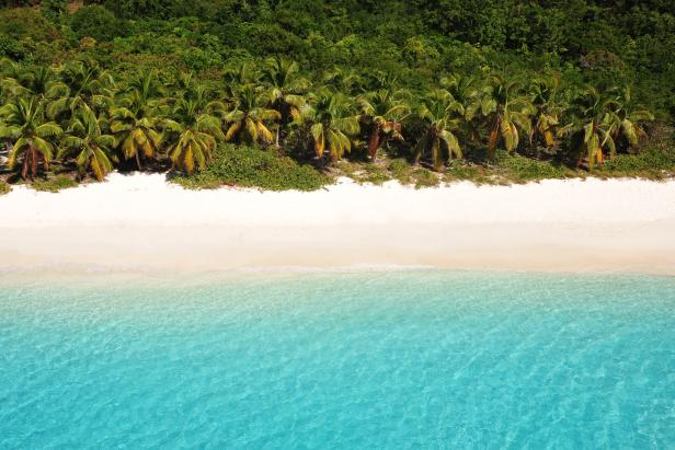 Ein tropischer Strand mit türkisfarbenem Wasser und Palmen.