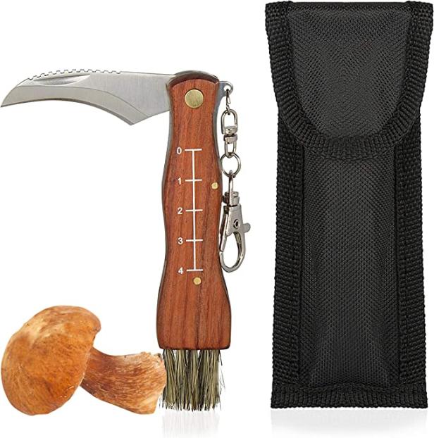 Ein Pilzmesser mit Bürste und ein Steinpilz liegen neben einer schwarzen Messertasche.