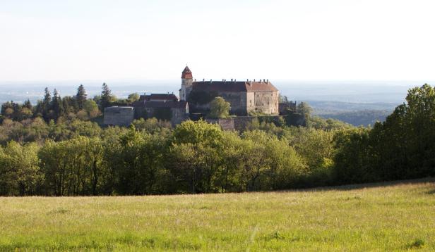 Eine große Burg mit Turm steht auf einem bewaldeten Hügel, umgeben von grüner Landschaft und Wiesen.