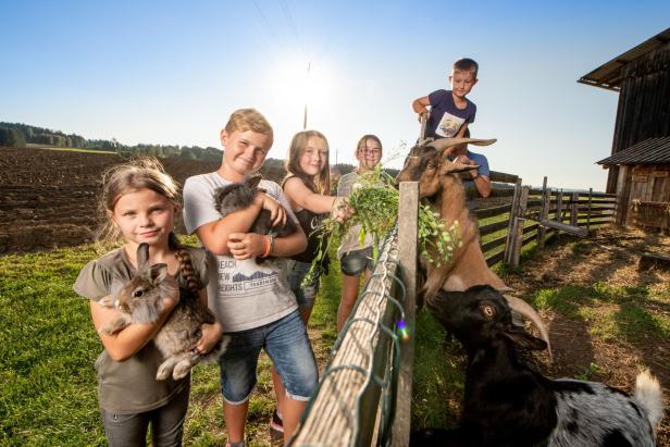 Waldviertler Familien-Abenteuer