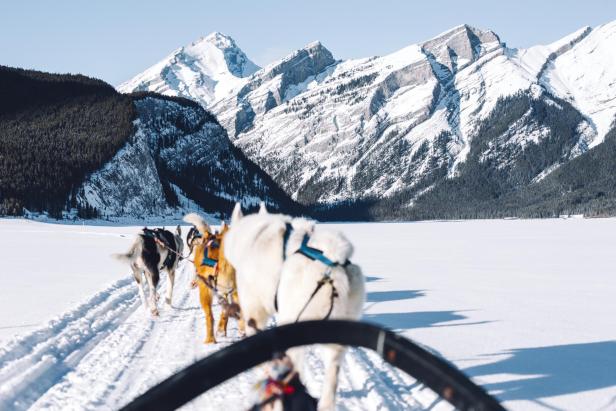 Ein Hundeschlitten fährt vor einer verschneiten Berglandschaft entlang.