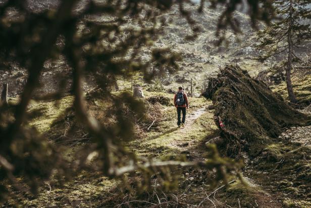 Ein Wanderer mit Rucksack geht einen Pfad im Wald entlang.