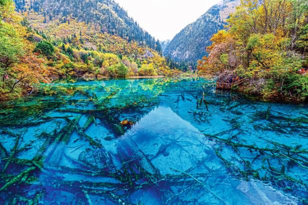 Klares, türkisfarbenes Wasser in einem See, umgeben von herbstlichen Wäldern.