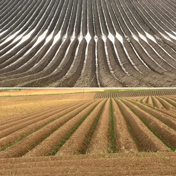 Landwirtschaft: Dem Klimawandel das Wasser reichen