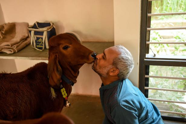 Ein Mann gibt einer braunen Kuh einen Kuss auf die Nase.