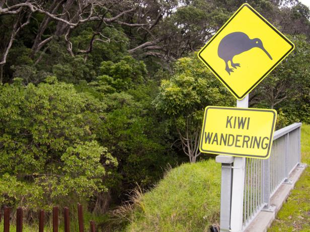 Ein gelbes Warnschild weist auf umherlaufende Kiwis hin.