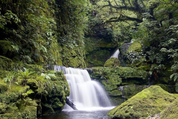 Ein Wasserfall stürzt über moosbewachsene Felsen in einem dichten Wald.