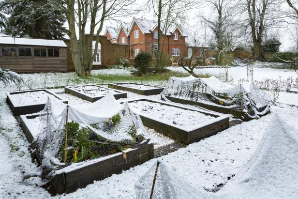 Ein Gemüsegarten mit Hochbeeten ist mit Schnee bedeckt.