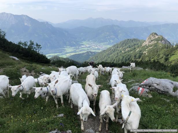 Wandern im Nationalpark Gesäuse