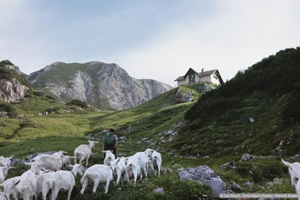 Wandern im Nationalpark Gesäuse