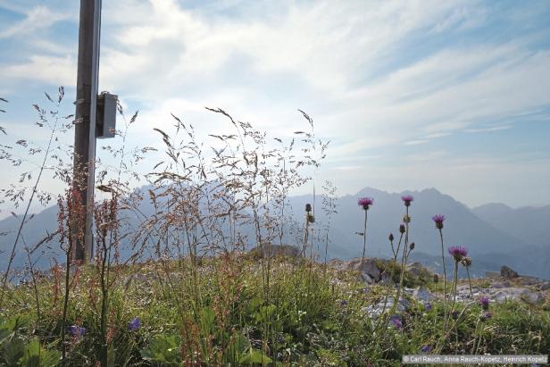 Wandern im Nationalpark Gesäuse