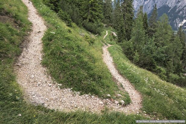 Wandern im Nationalpark Gesäuse