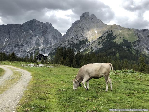 Wandern im Nationalpark Gesäuse