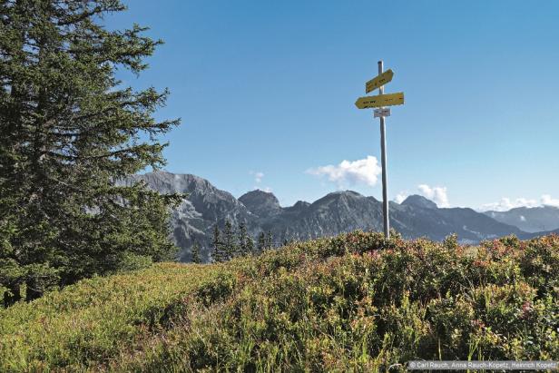 Wandern im Nationalpark Gesäuse