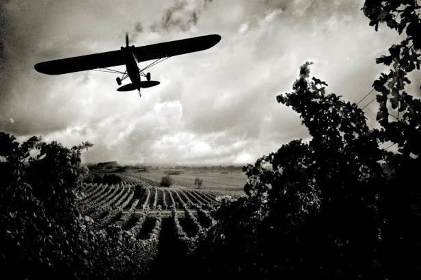 Ein kleines Flugzeug überfliegt einen Weinberg vor einem bewölkten Himmel.