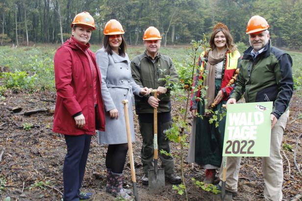 "Forstwirtschaft live" bei den Waldtagen am Leithaberg