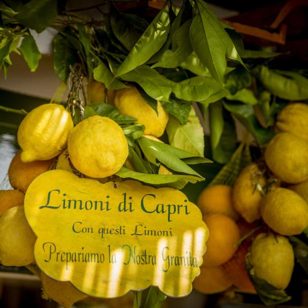 Ein Schild mit der Aufschrift „Limoni di Capri“ hängt zwischen Zitronen und Blättern.