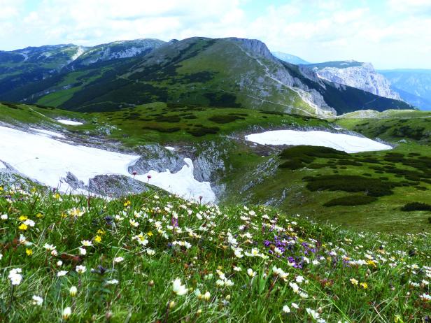 8 herbstliche Wanderrouten in Wien, Niederösterreich und im Burgenland