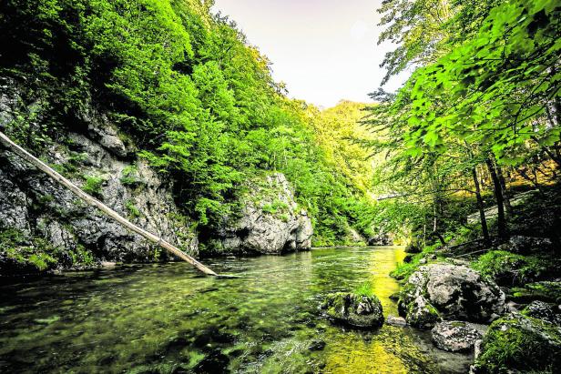 8 herbstliche Wanderrouten in Wien, Niederösterreich und im Burgenland