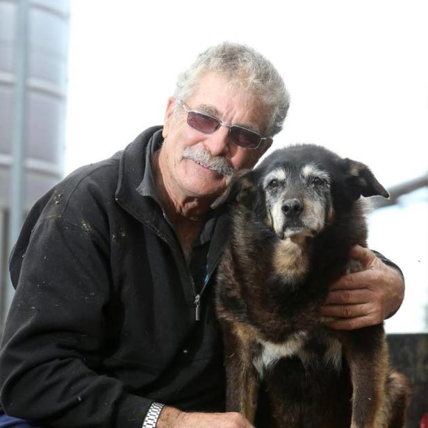 Ältester Hund gestorben: Das Geheimnis eines langen Lebens