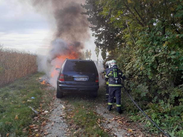 Pkw in Flammen: Lenker rettete sich in St. Pölten auf Feldweg