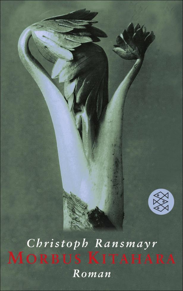 Das Cover des Romans „Morbus Kitahara“ von Christoph Ransmayr zeigt eine Pflanze.