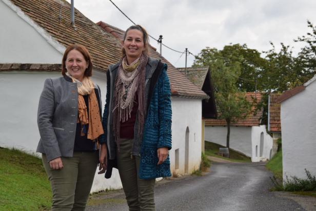 Genussregion Retz: Lokalaugenschein zur Erntezeit im Weinviertel