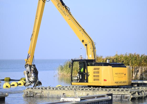 Erste Hilfe für Neusiedler See: Schlamm und Schilf werden entfernt