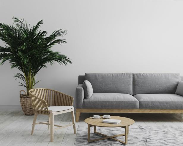 Ein Wohnzimmer mit einem grauen Sofa, einem Sessel und einer Zimmerpflanze.
