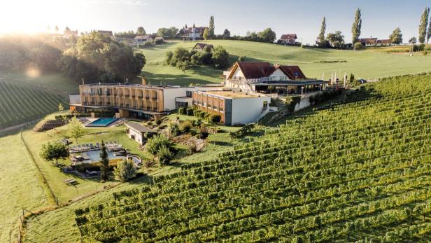 Ein Hotel mit Pool liegt inmitten eines Weinbergs in hügeliger Landschaft.