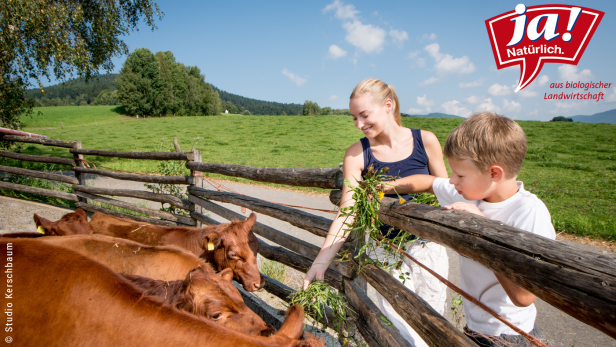 Waldviertler Familien-Abenteuer