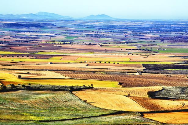 Blick über eine Landschaft mit Feldern in verschiedenen Farben und Bergen im Hintergrund.