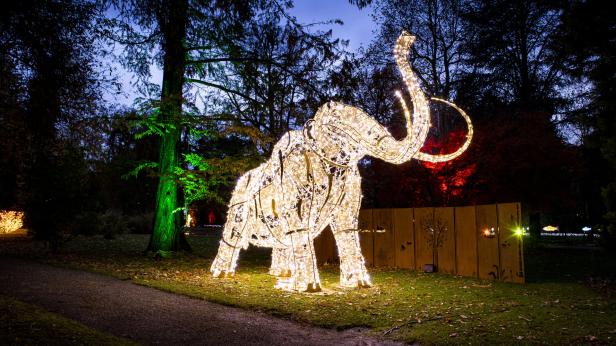 Ein leuchtender, dekorativer Elefant steht in einem Park.