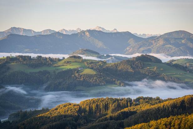 Hügelige Landschaft mit Wäldern und Feldern im Nebel, im Hintergrund Berge.