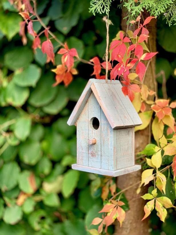 Ein blaues Vogelhaus hängt an einem Baum mit bunten Blättern.