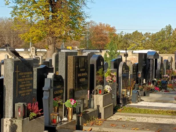 Diebstähle am Friedhof: Kleiner Schaden, große Trauer