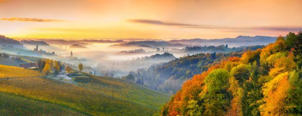 Eine malerische Landschaft mit Weinbergen und Wäldern im goldenen Herbstlicht.