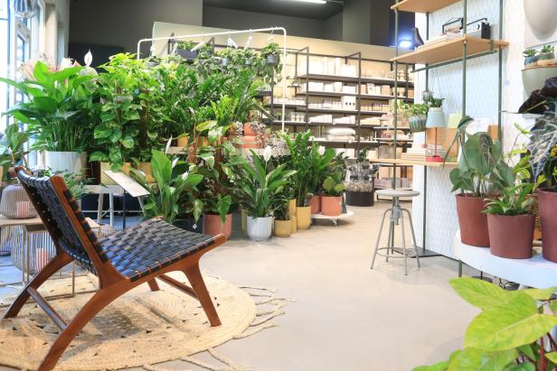 Neue Boutique für Pflanzen und schöne Dinge in Wien