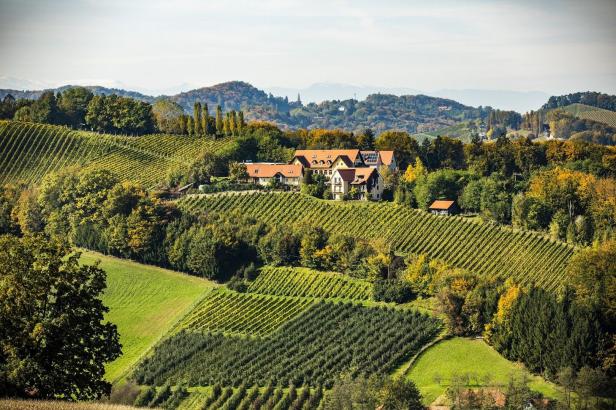 Hügelige Landschaft mit Weinbergen und einem Bauernhaus mit roten Dächern.