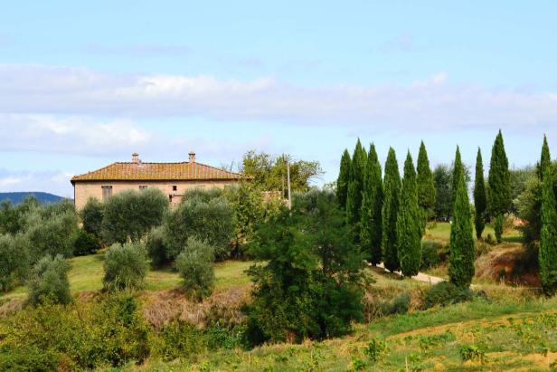 Ein toskanisches Landhaus mit Zypressen und Olivenbäumen in einer hügeligen Landschaft.