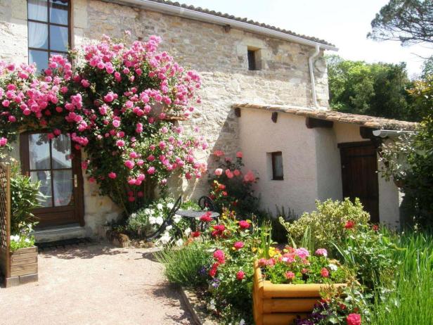 Ein Haus mit einem üppigen Rosenbusch, der die Tür umrahmt.