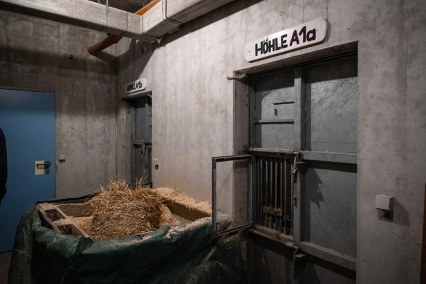 Ein Raum mit zwei Metalltüren, beschriftet mit „Höhle A1a“ und „Höhle A1b“, und einem Behälter mit Stroh.