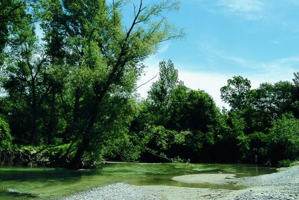 Wandern in der Region Neusiedler See