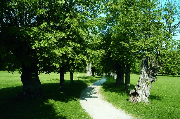 Wandern in der Region Neusiedler See