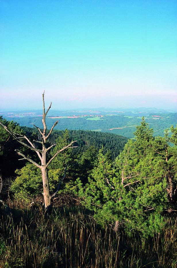 Wandern in der Region Neusiedler See